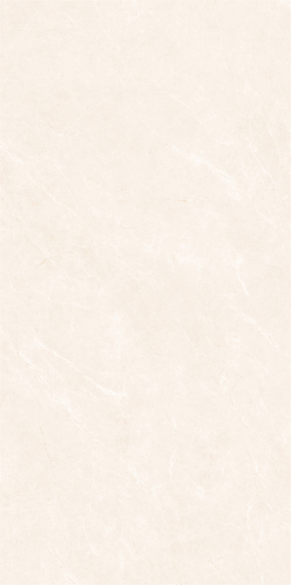 2626